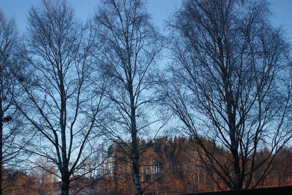 Ferienwohnungen Neukirchen Neukirchen am Teisenberg Buitenkant foto