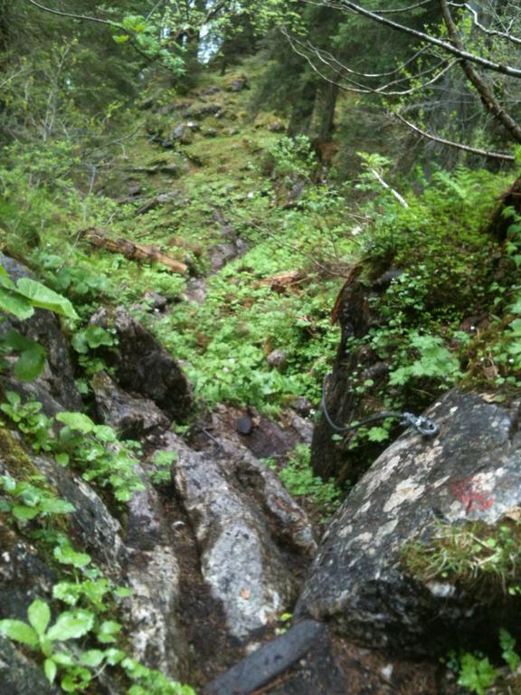 Ferienwohnungen Neukirchen Neukirchen am Teisenberg Buitenkant foto